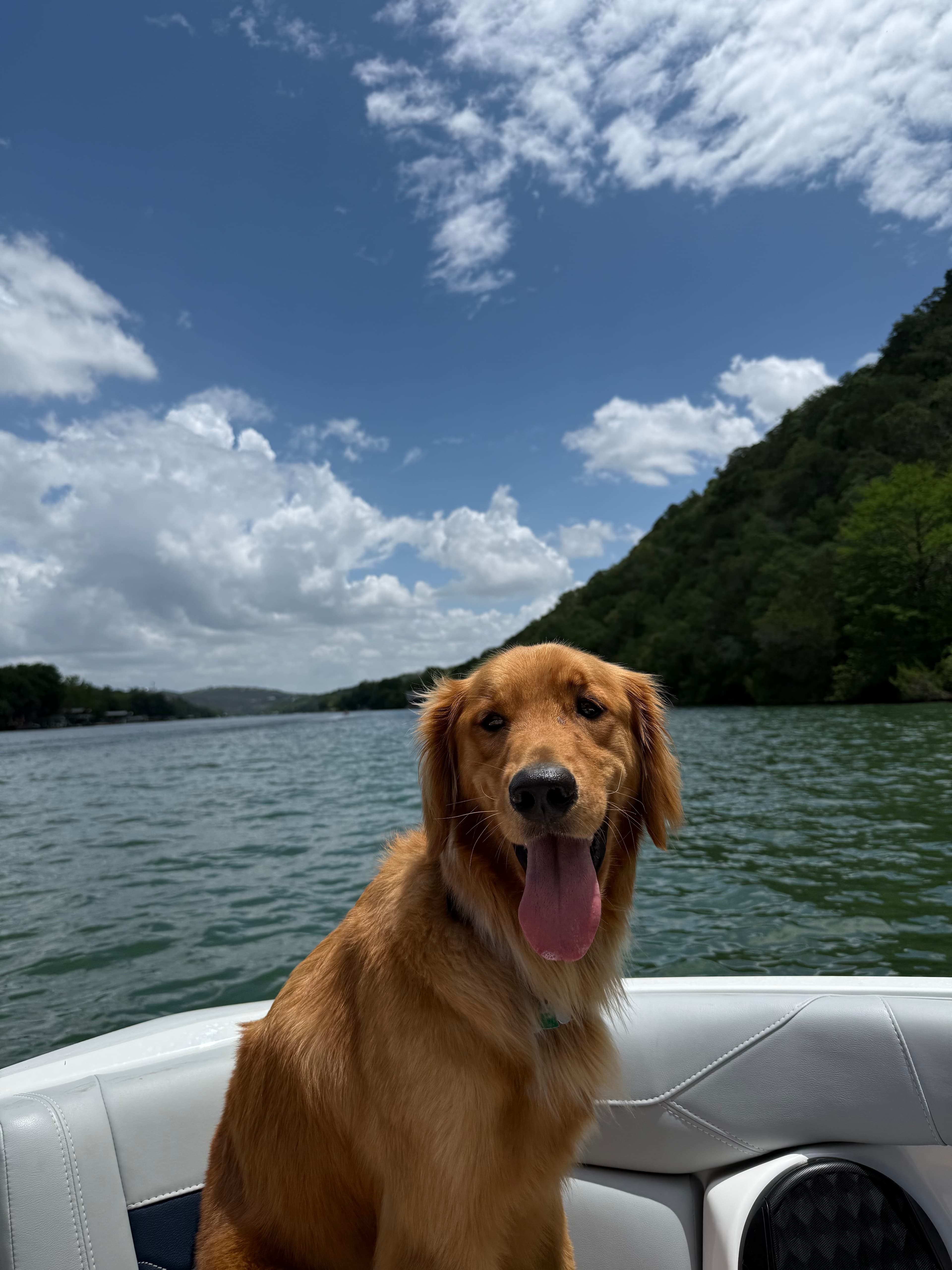 Louie — the third founder